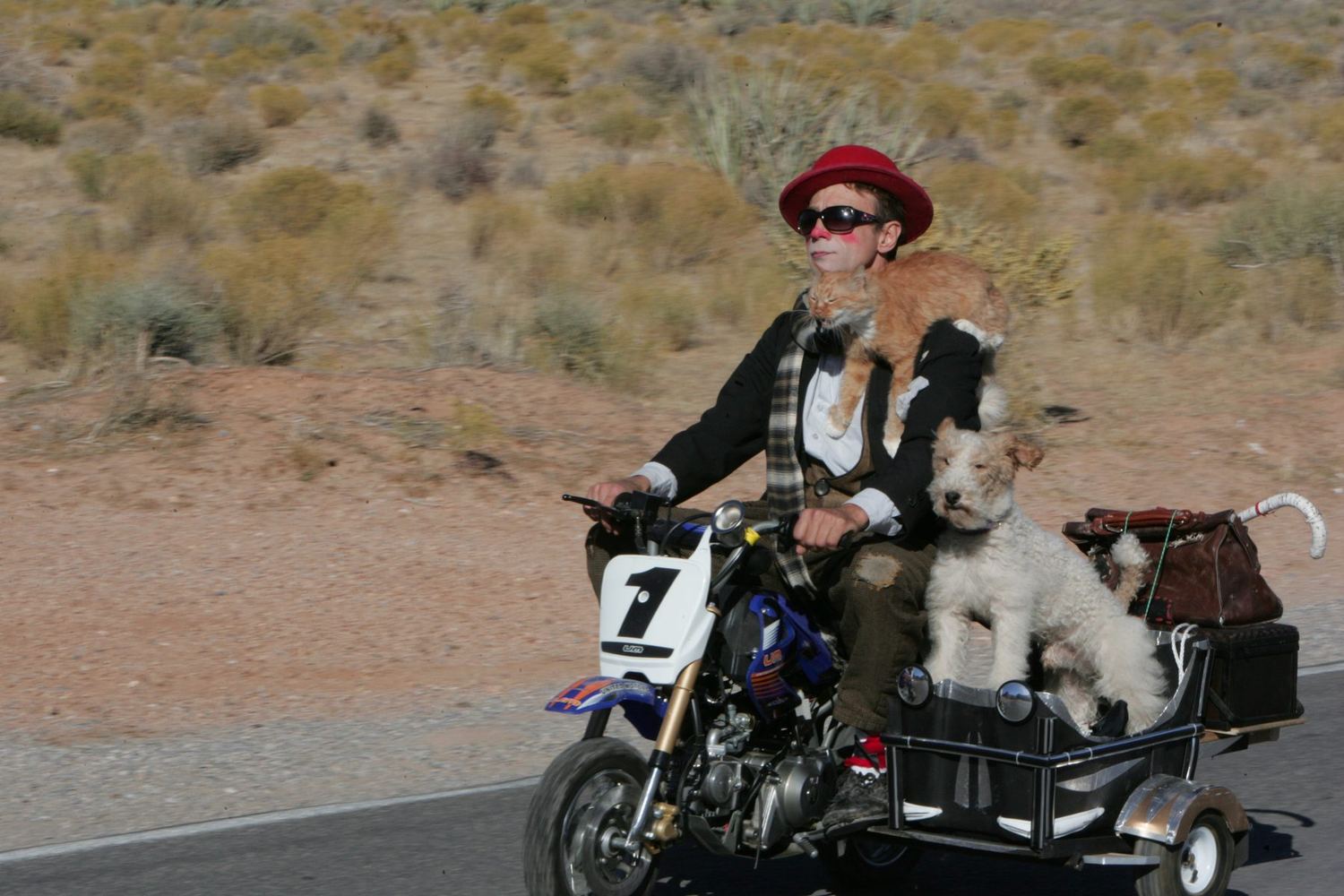 Gregory Popovich on the road with his rescued cast